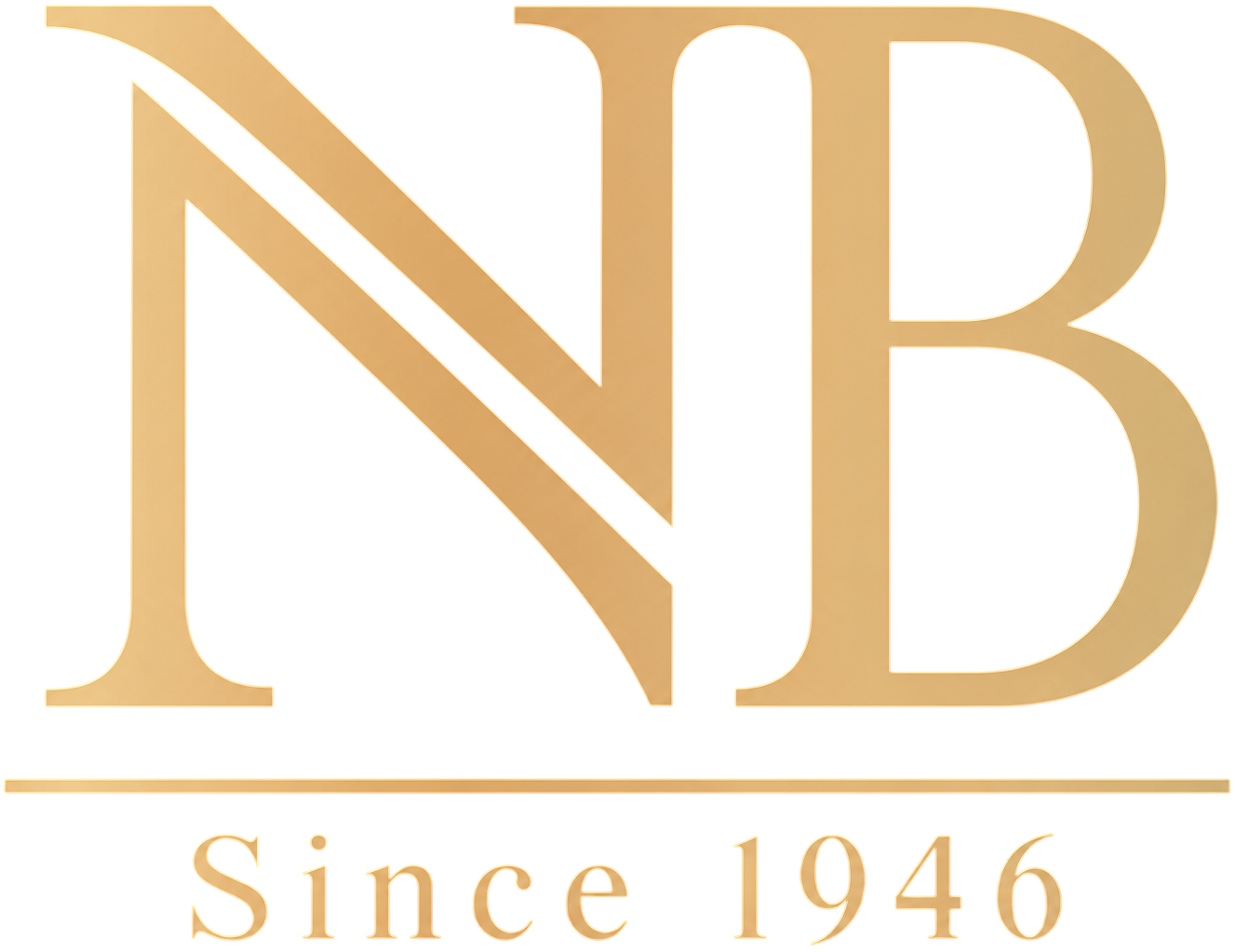 NB Developer
